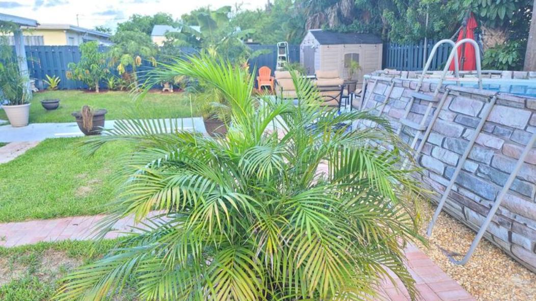 Palm Springs 3-Bedroom 2-Bath 5 Miles To The Beach Lake Worth Beach Exterior foto
